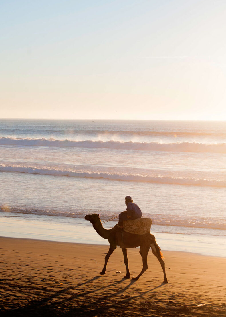 A man on a camel at the sea coast at Agadir