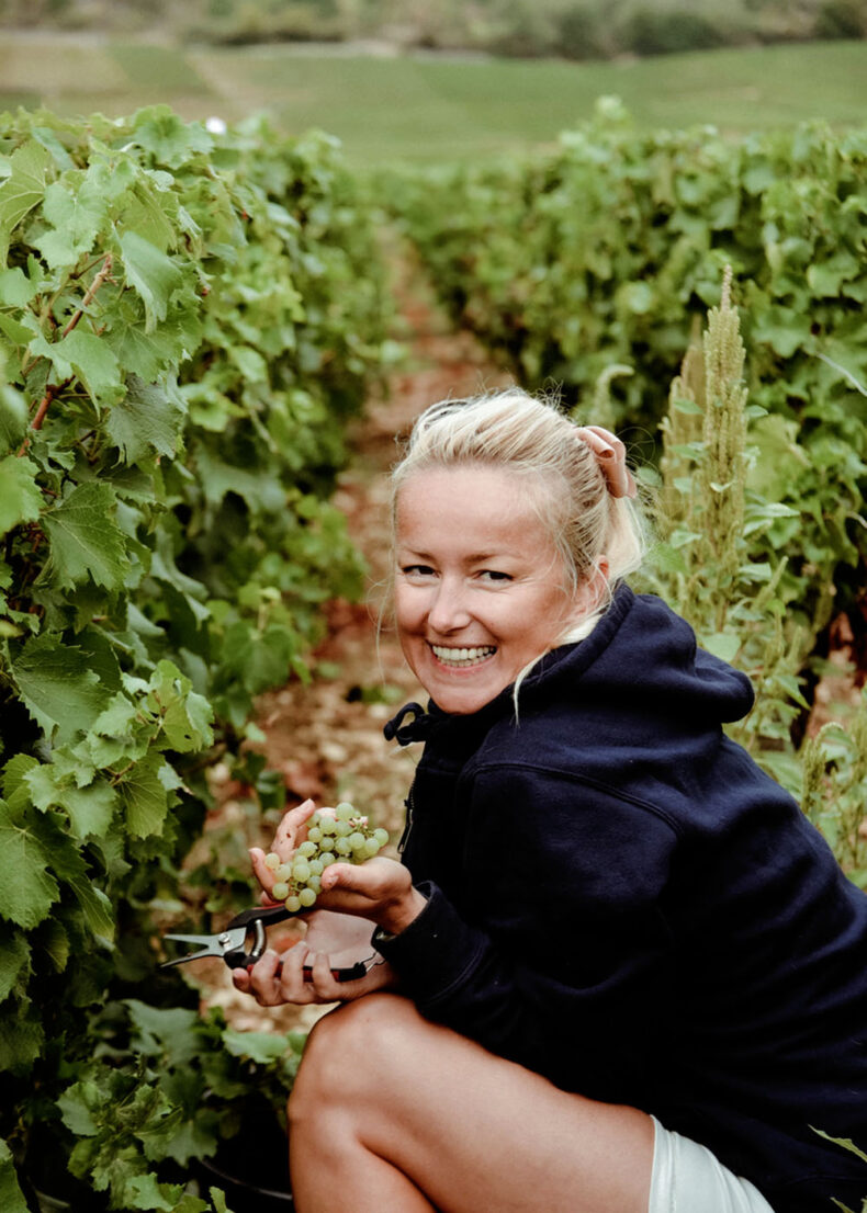 Author of the blog article about Burgundy harvesting grapes