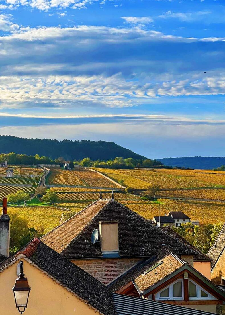 Cote d'Or or the gold region in Burgundy