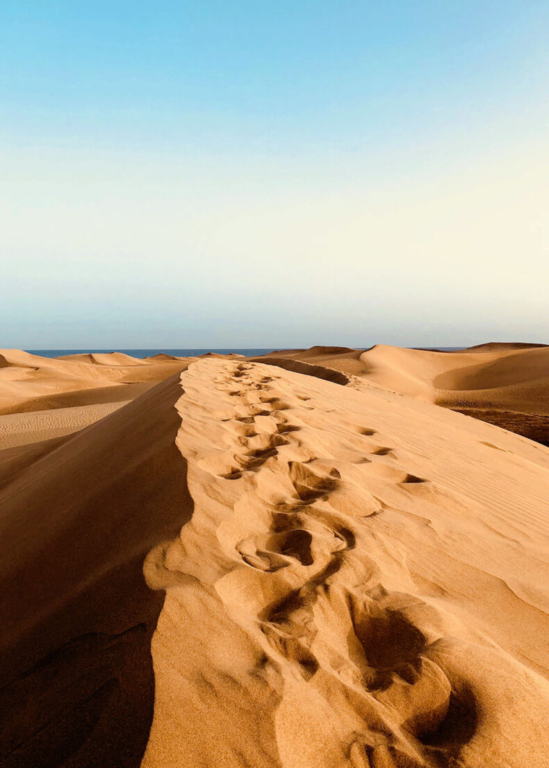 Dunas de Maspalomas is a spellbinding dune complex