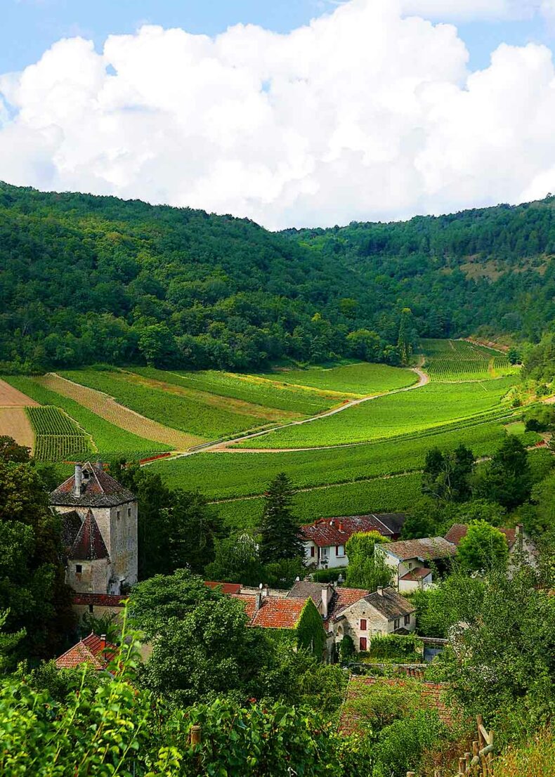 Route des Grands Crus will guide you through 38 picturesque wine village