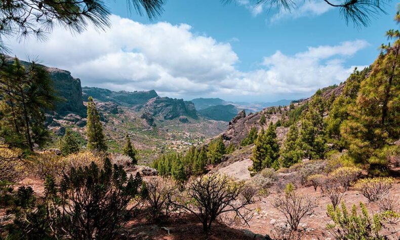 Take a hike to the Gran Canaria islands symbol - the epic Roque Nublo stone formation
