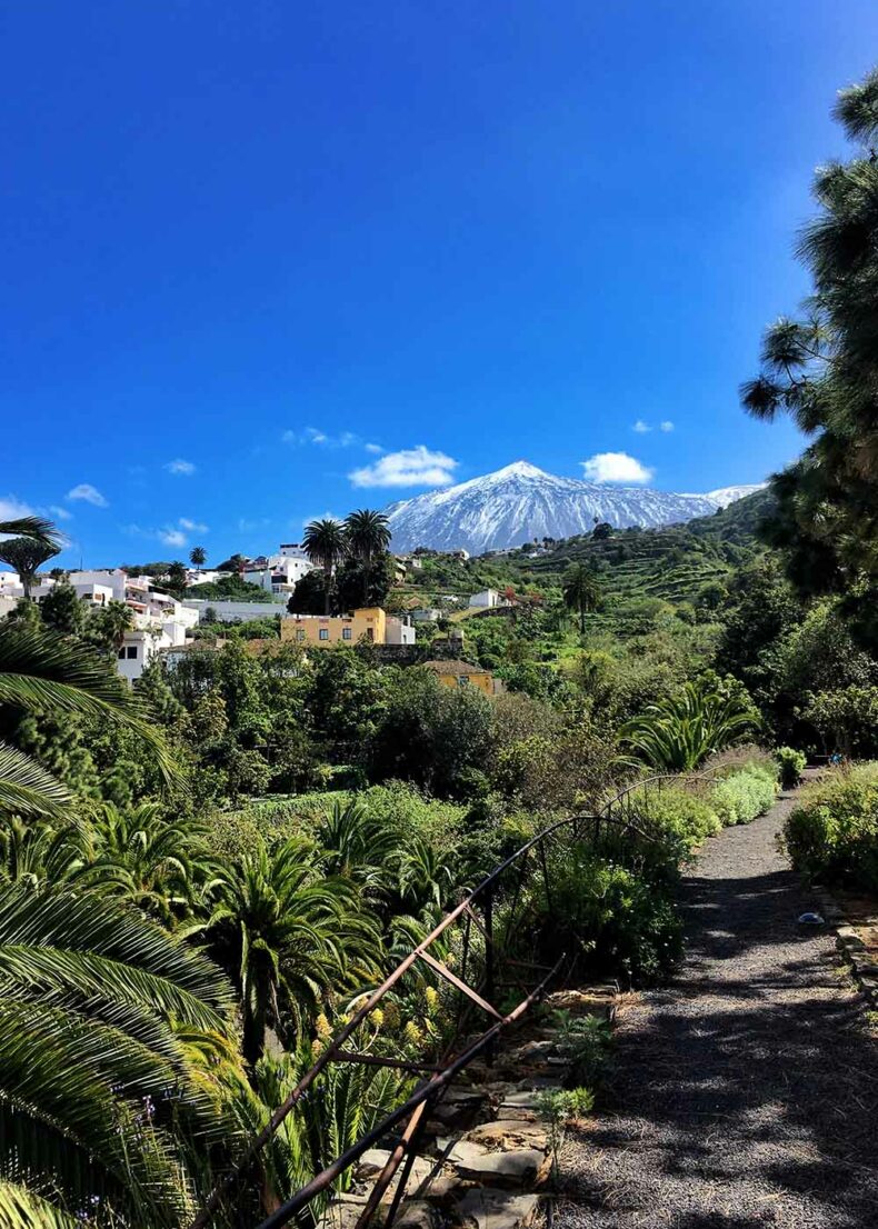 The Teide volcano and the spectacular nature of Tenerife Island