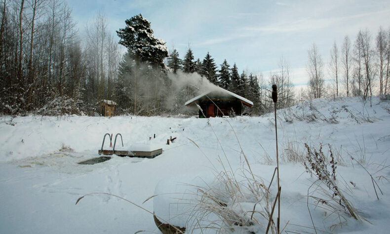 Enjoy a local herbal tea and a special sauna whisk on the Jantsu Talu farm