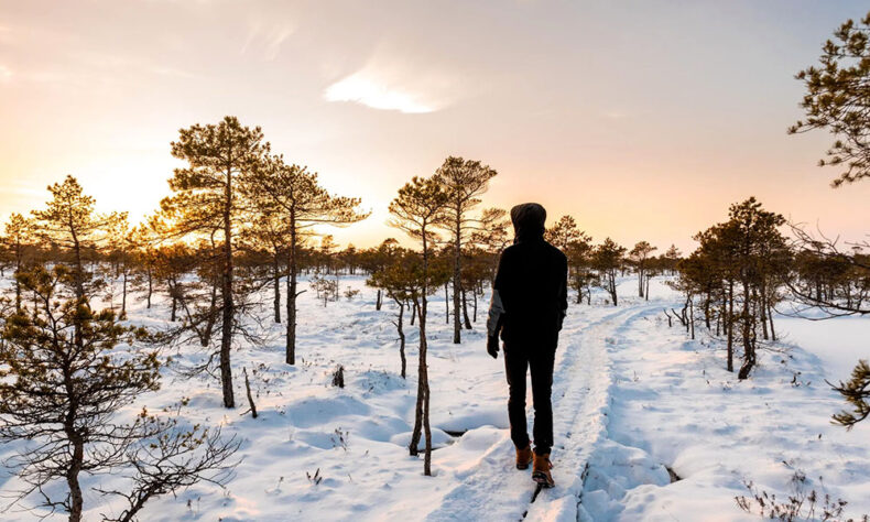 Experience The Great Kemeri Bog Boardwalk in the wintertime