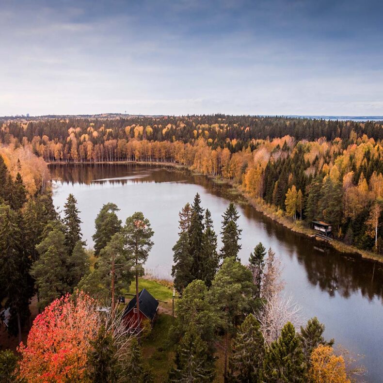 Tampere's neighbourhood, Niihama Nature Trail, in autumn