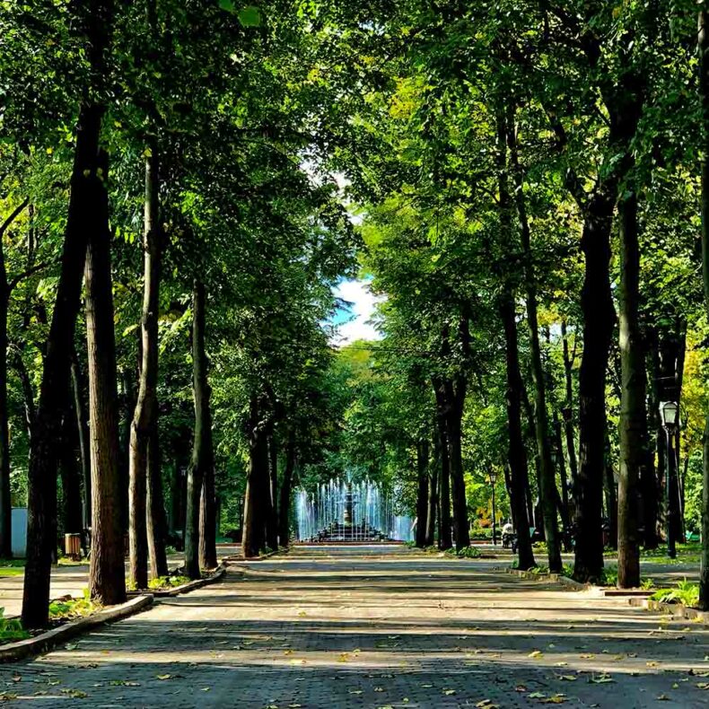 Beautiful Chisinau leafy parks and avenues
