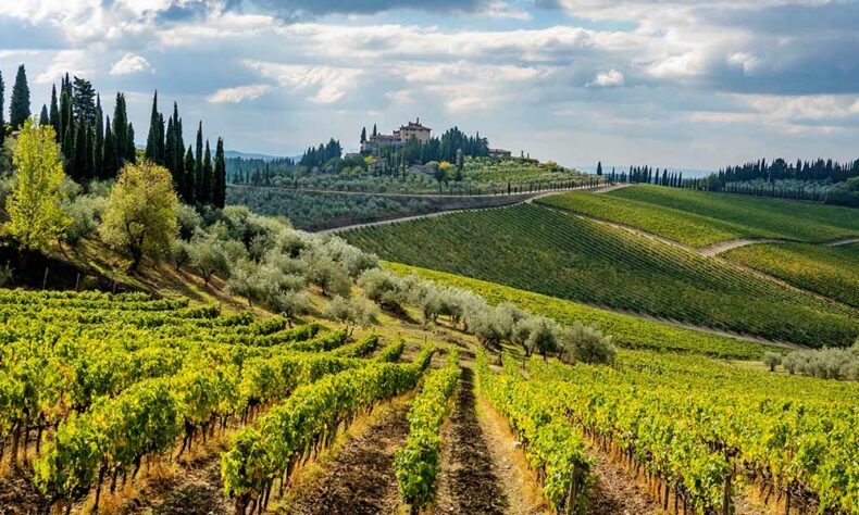 Visit the scenic town Panzano in Chianti for incredible landscape and meal
