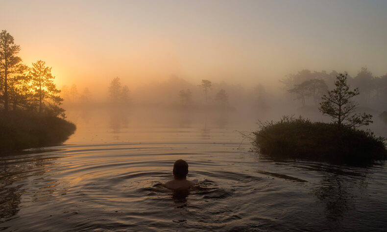 Enjoy a unique experience in Estonia - swim in bog