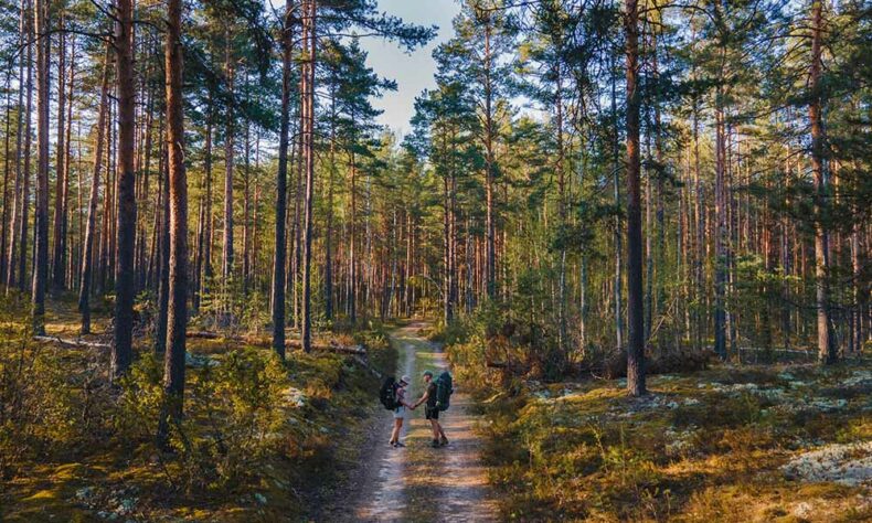 The Baltic Forest Trail is a 2141 km long distance through Baltic states forests