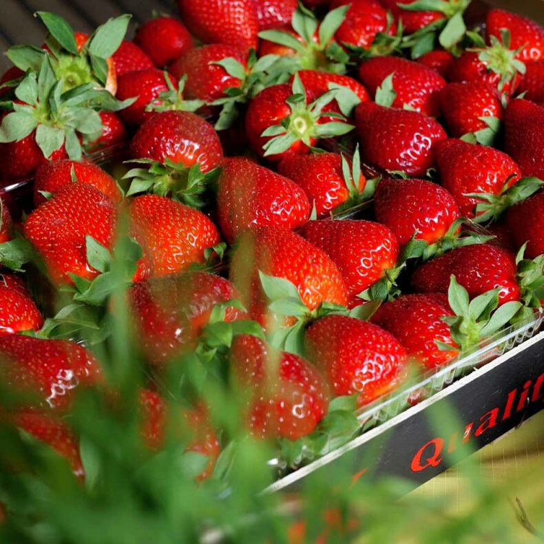 During your stay in Jurmala, visit the local farmers’ markets for fresh fruits
