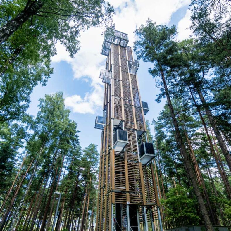 Dzintari Forest Park Viewing Tower offers panoramic views of pine forest and the Baltic sea