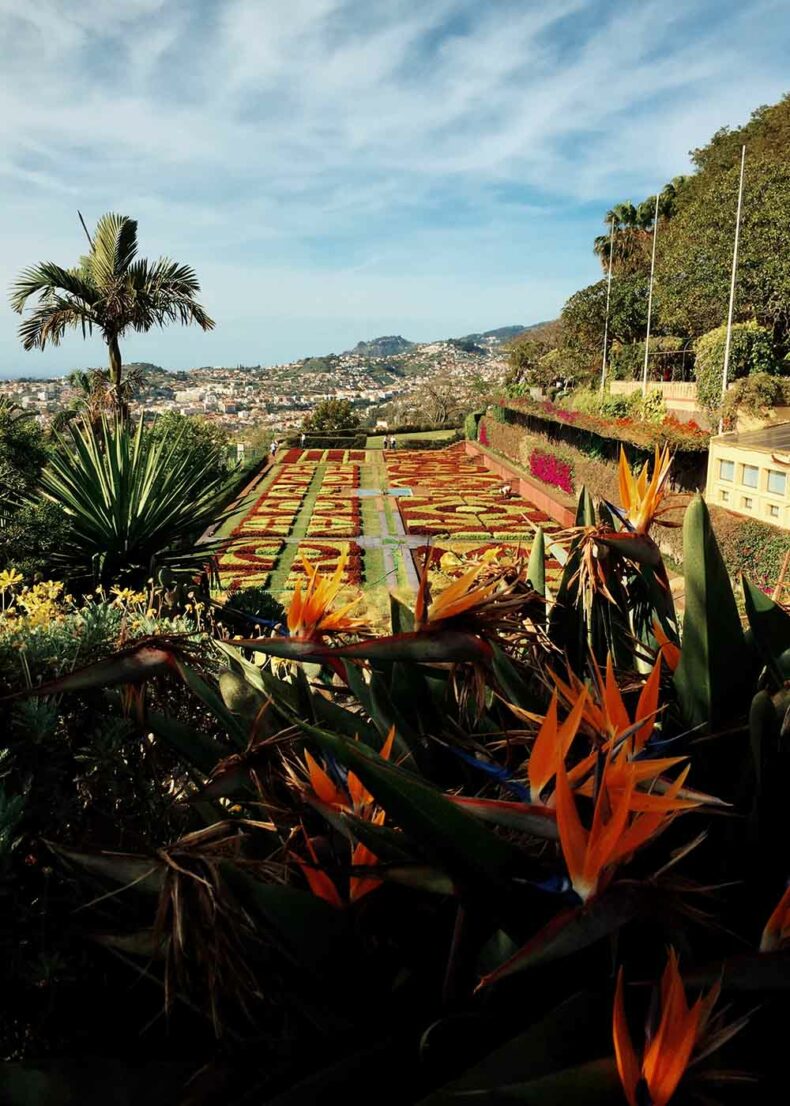 A part of Funchal Botanical Garden