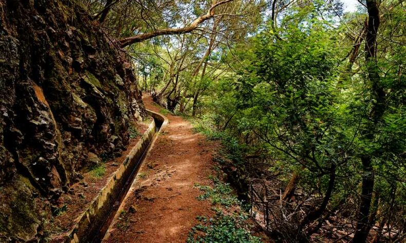 Levadas are former irrigation channels that are now hiking trails that crisscross the Madeira island