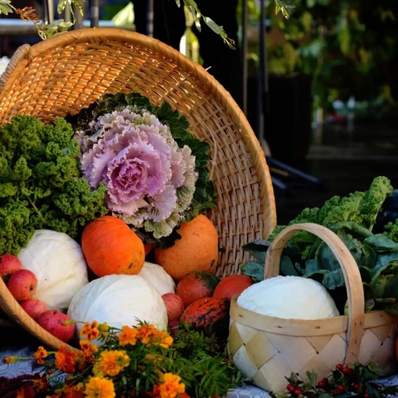 At the Miķeļdienas market, you'll find many seasonal goodies from locals