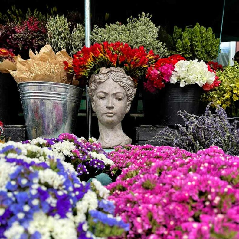 Autumn flowers at the Riga Central market