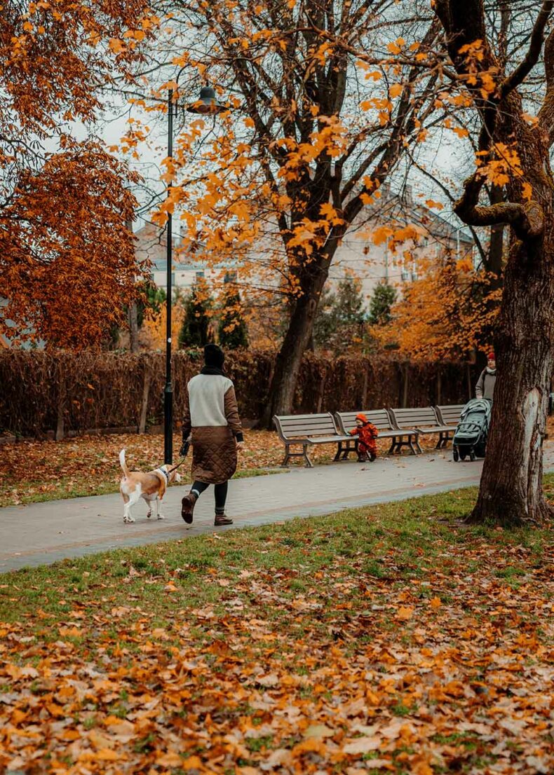 Enjoy a colourful autumn in Riga