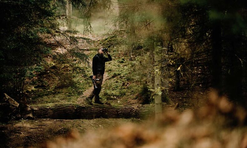 Birdwatching in acient forest Juodkrantė