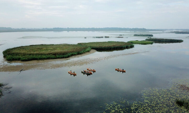 Lithuania offers guided tours of the fascinating migration patterns of various birds