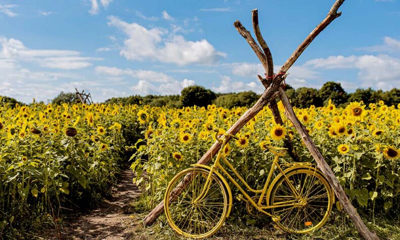 Skuodas region is devoted to nature, heritage, and the principles of slow tourism