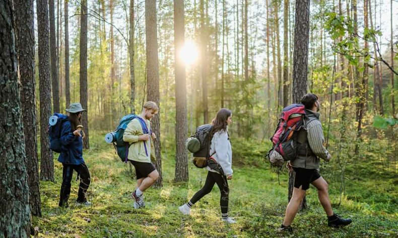 Western Lithuania is covered with forests, making it a haven for nature lovers