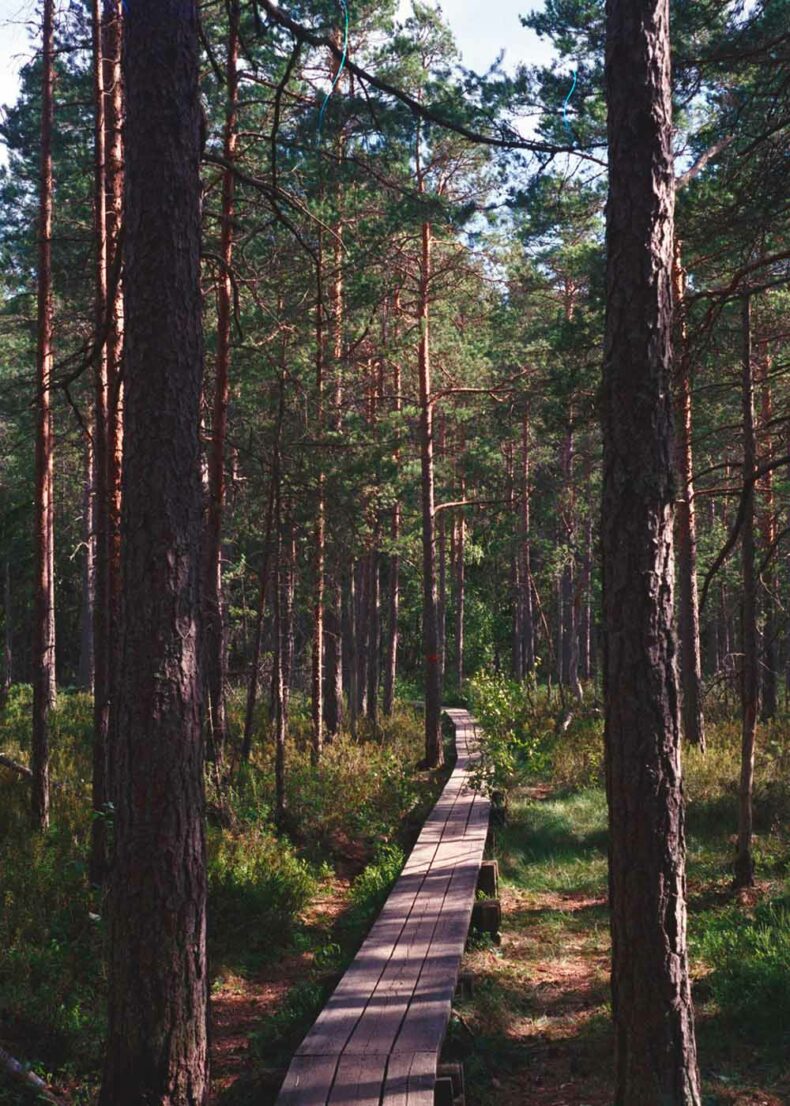 A part of the 5km-long Bylsjöpromenade around Lake Bylsjön