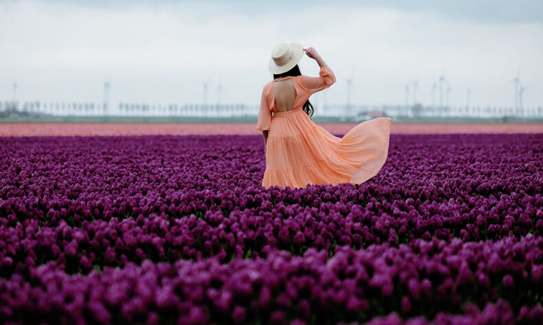 Woman standing at the Keukenhof tulip field