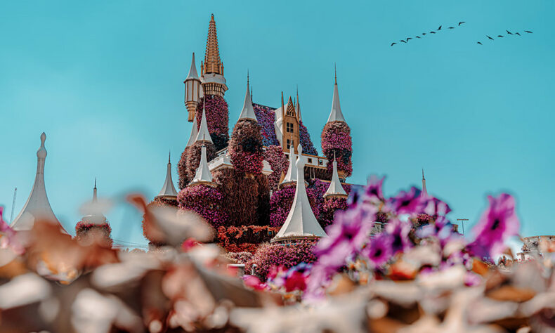 In the Dubai Miracle Garden you can see full-size houses and floral castles