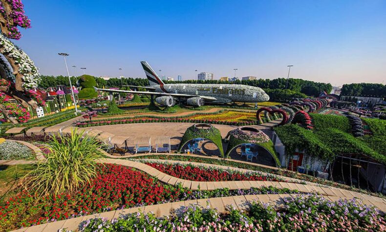 The Dubai Miracle Garden is the world's largest natural flower garden
