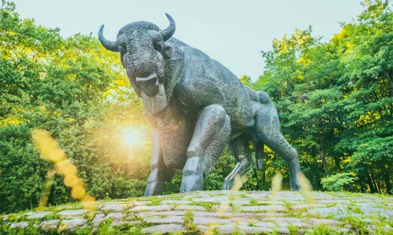 The Kaunas Oak Grove is in terms of its area the largest oak grove in an urban area in the entire Europe