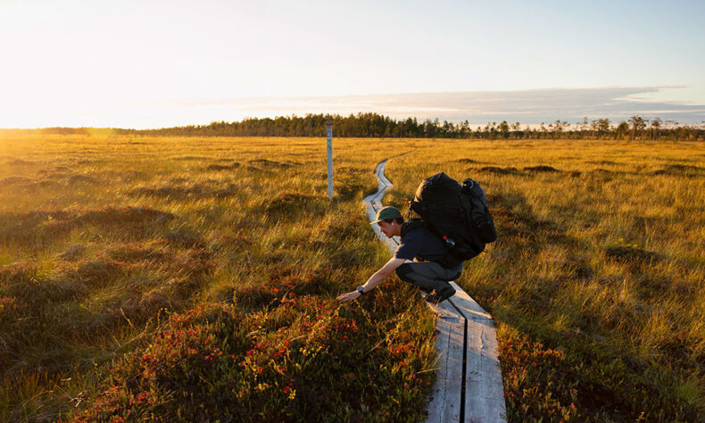 A man in the Rokua Geopark which is Finland's first UNESCO Global Geopark