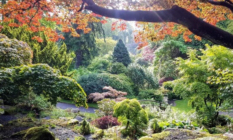 Johnston Gardens in Aberdeen offers serene green spaces perfect for leisurely walks