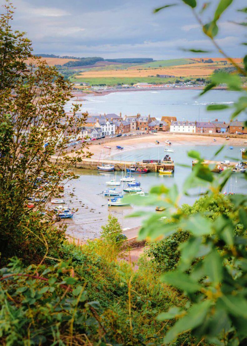 View of Aberdeen Stonehaven harbour with the surrounding paradise of nature