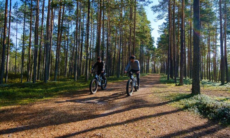 While in Oulu enjoy cycling on forest trails and coastal routes which offer ever-changing landscapes