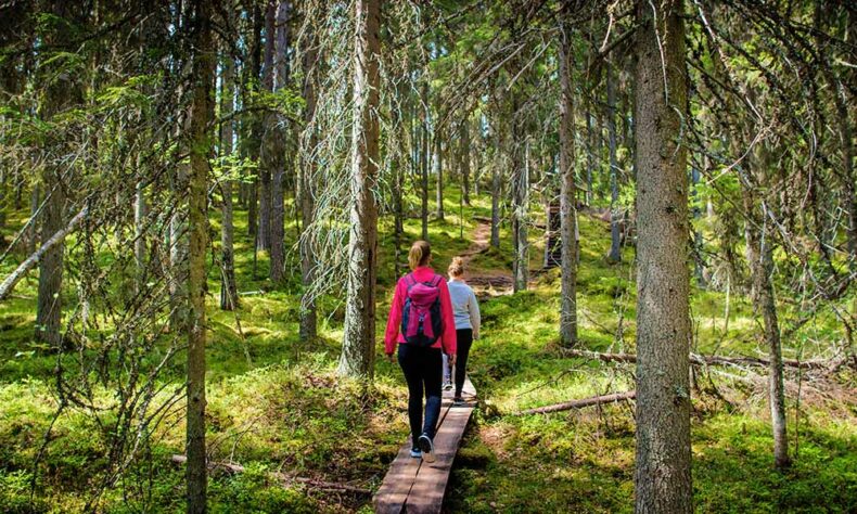 You can get to the Seitseminen National Park with the Outdoor Express bus directly from the Tampere city centre