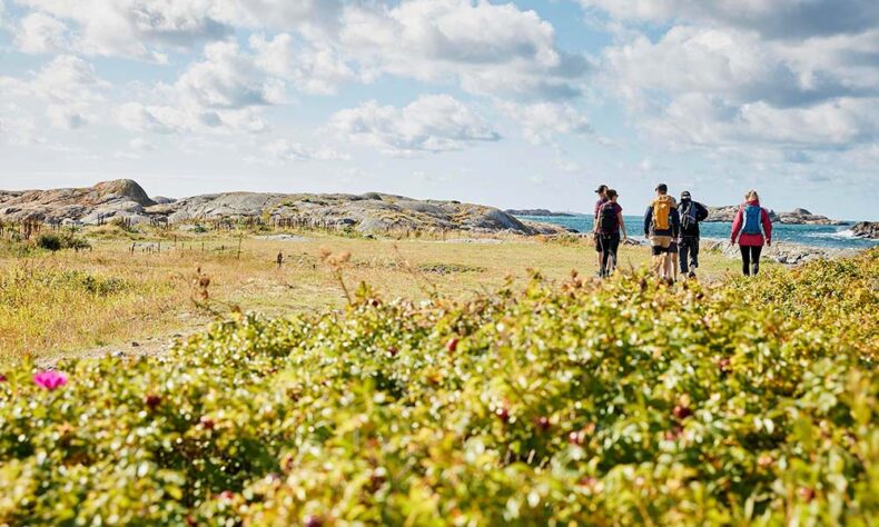 Gothenburg Archipelago hiking trail is a 35-kilometre walking route that runs across the island