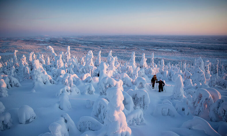 Enjoy snow-covered forests and surrounded dramatic Arctic landscapes at Riisitunturi National park