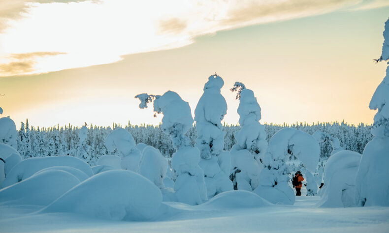Experience winter wonderland in Oulu