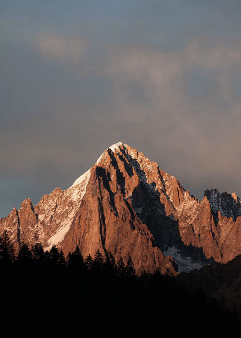 Mont Blanc's snow-covered peak illuminated by warm sunlight with pine trees in the foreground